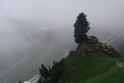 042 - Albero sospeso sopra il Vallone del Salto.JPG