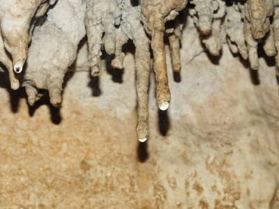 090 - Primo piano 2 stalattiti in Grotta del Morto.JPG