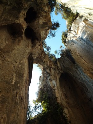 119 - Grotta dell'Edera vista verticale da sinistra.jpg