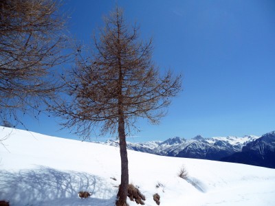 cima la bianca e rocca la meja